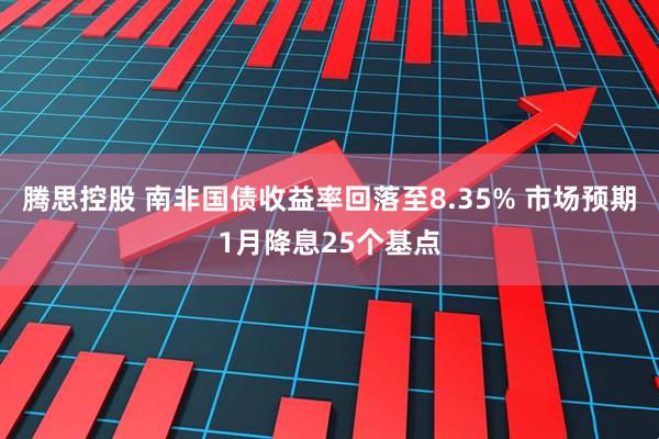 腾思控股 南非国债收益率回落至8.35% 市场预期1月降息25个基点